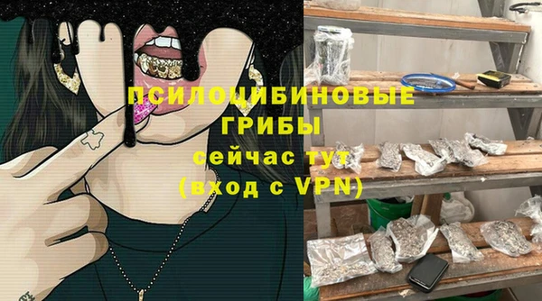 ECSTASY Медногорск