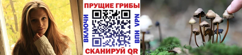 MEGA как зайти  Фокино  Галлюциногенные грибы Cubensis  продажа наркотиков 